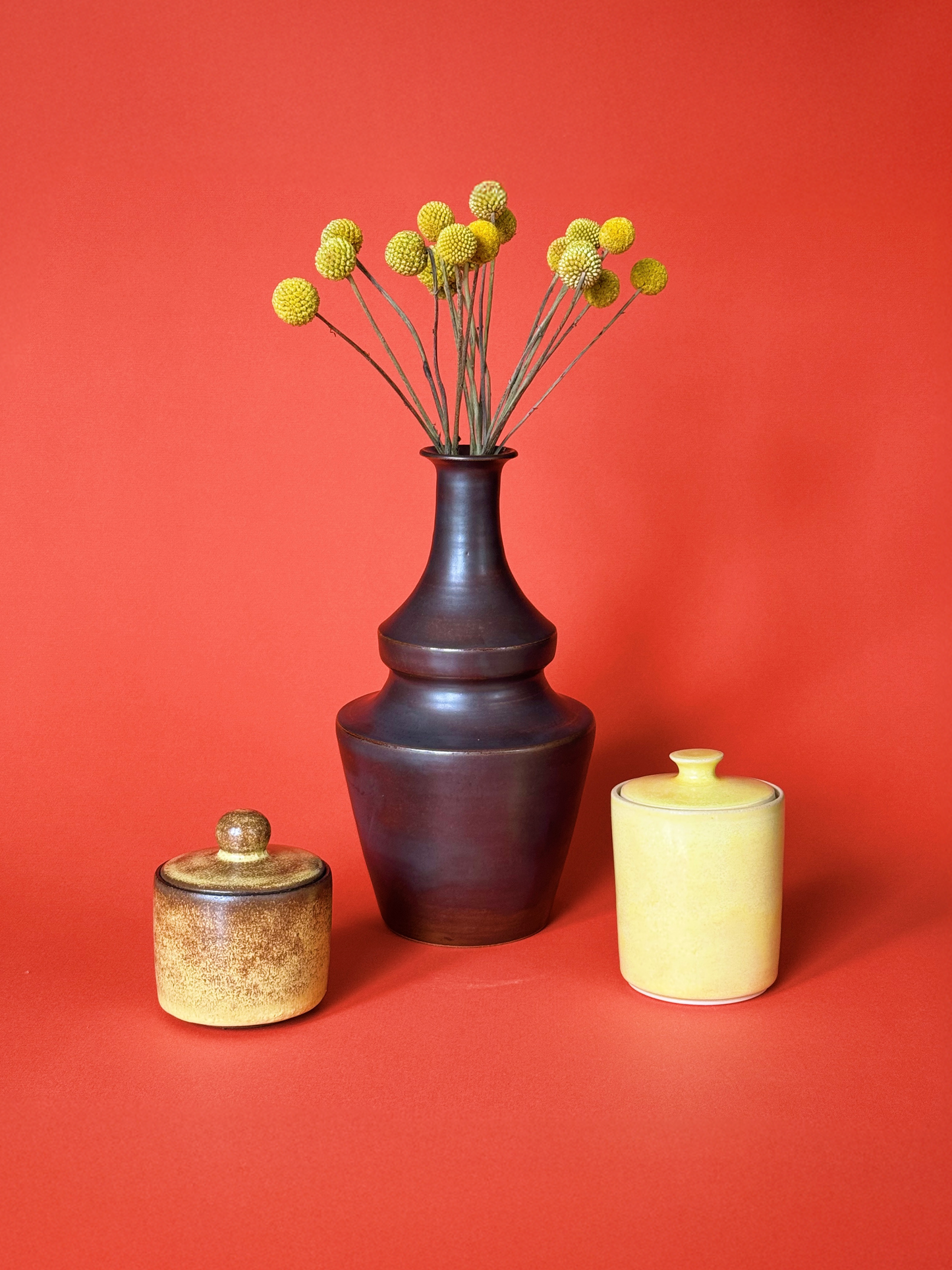 Dark Brown Bottle Vase