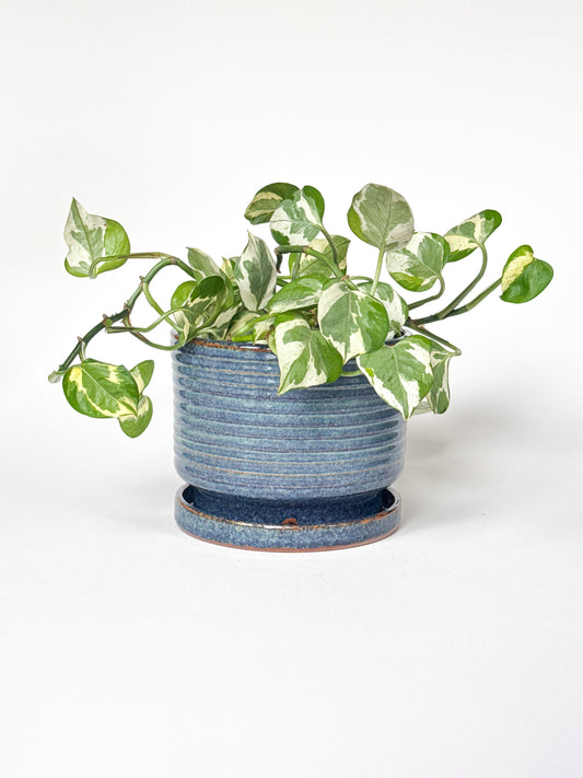 Blue Speckle Planter